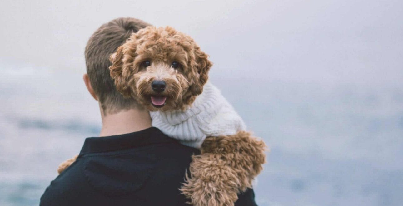 Dr. Mark Phillipe, DDS, with his Beautiful Dental Therapy Dog and Family Member, Nilla.