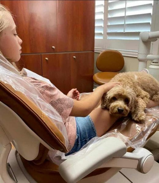 dental therapy dog for children dental therapy dog for children