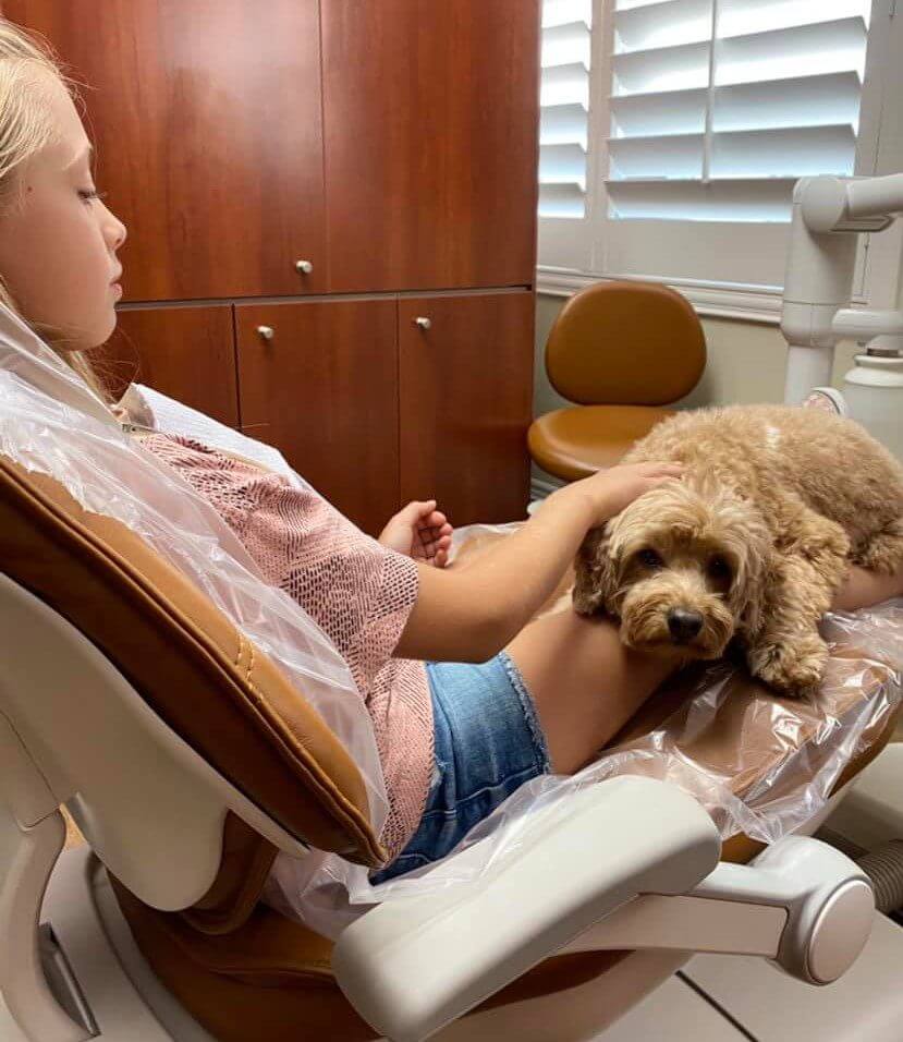 kids dentist - children's dental - pediatric dentistry - dental therapy dog